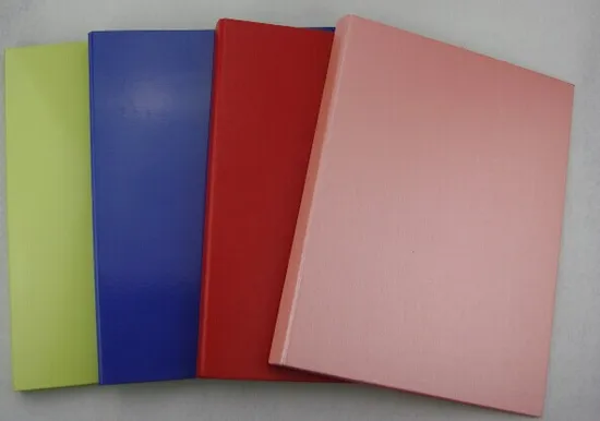 Paper Clear Book/Display Book-20/40/60/80/100 Pages
