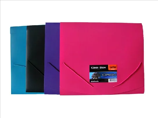Customized Expanding File with Elastic/ File Bag/ Document Bag (E015)