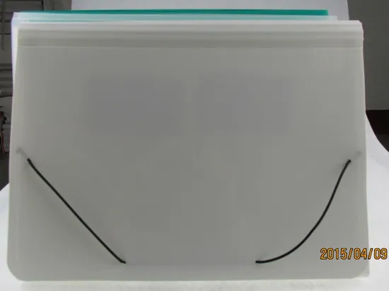 Expanding File/ File Bag (E052)
