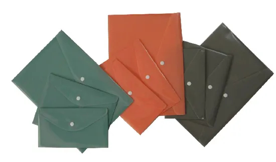 Customized Colorful A4/A5/FC File Bag with Button (F027)