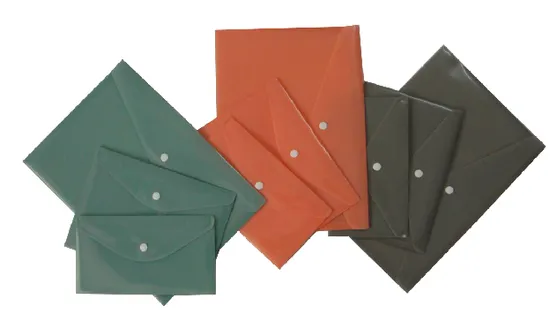 Customized Colorful A4/A5/FC File Bag with Button (F027)