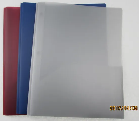 Customized Report Folder with Prong (F038)