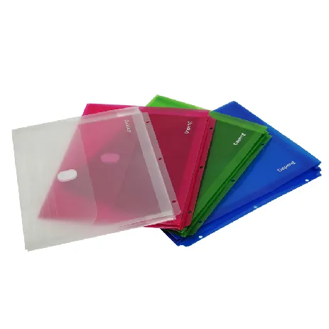 Customized Vertical File Bag/ Envelop Bag (F041)