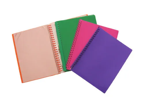 Customized 23 Hole Clear Book/Display Book (C013)