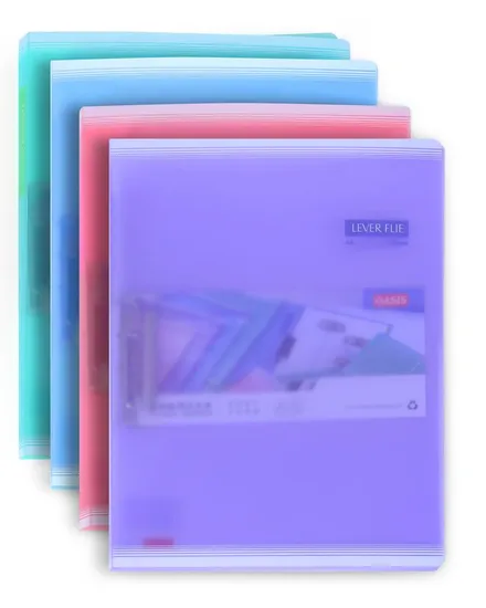 Customized Clip File Folder (B027)