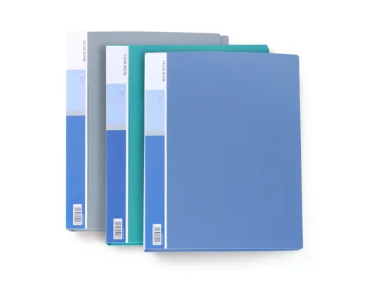 Oasis Clear Book/Display Book-40 Pages