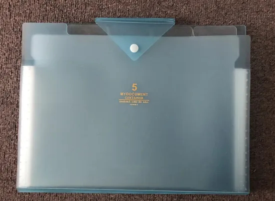 5 Pockets Expanding File