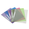 Customized A4/ FC Opaque Base Folder/ File Folder with Clip-F2029