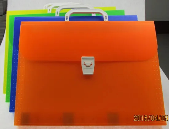 Wholesale Customized Expanding File with Handle and Button
