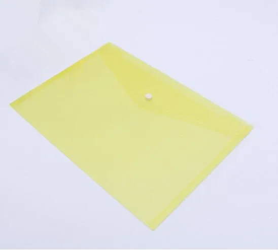 Customized Logo Printed A5 Clear Bag File Folder