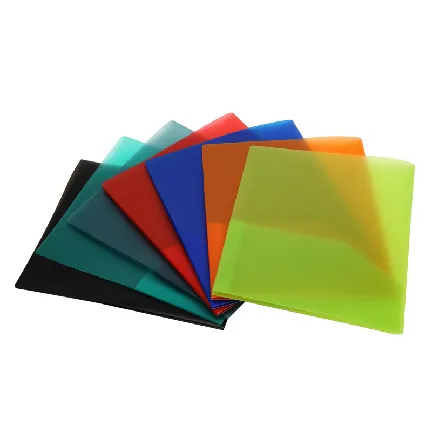 Customized 2 Pockets Folder (F049)