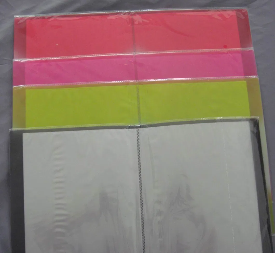 Oasis 30 Pages Clear Book with Colorful Paper Cover