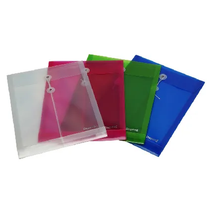 Transparent File Bag with Elastic Strap (F-A030)