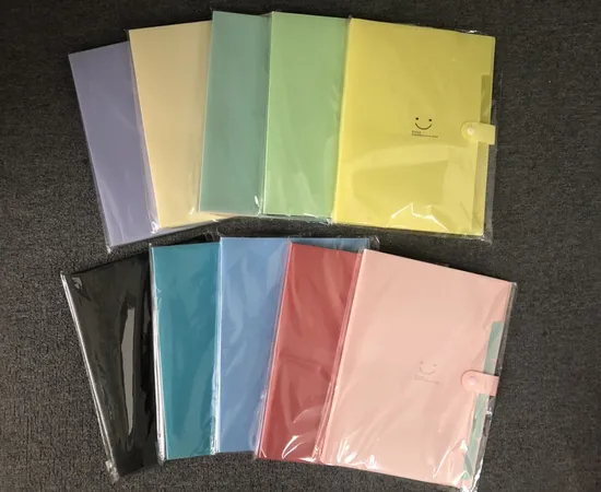 Colorful 5-Pocket Expanding File with Button